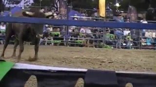 Springwood Hotel Bullride