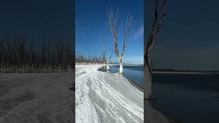 Lago Epecuen, Buenos Aires, Argentina  #shorts