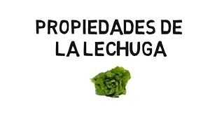 PROPIEDADES DE LA LECHUGA