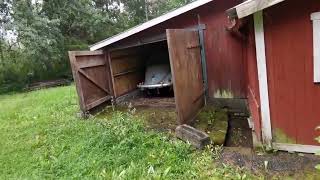 barnfind volkswagen oval 1953