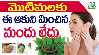 Best Remedy For Pimples || Skin Care || Neem Face Mask || Eha Health