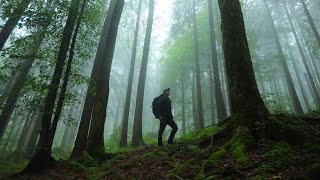 Caminhada silenciosa nas montanhas (ASMR)