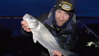 Bristol Channel Bass Fishing- Light Tackle, Further Endeavours