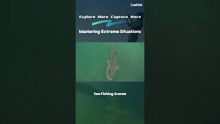 Mastering Extreme Situations #fishingvideos #underfishing #bassfishing #fish