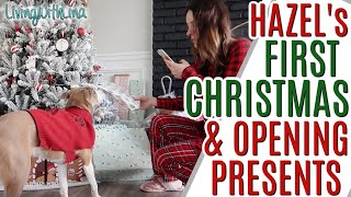 Fur Baby's First Christmas & Making Doggy Treats with Dash Dog Treat Maker