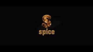 Spice Studios Logp