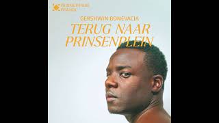 TERUG NAAR PRINSENPLEIN | Productiehuis Mozaïek & Gershwin Bonevacia