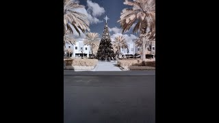 Traffic Circle OnePlus 8 Pro IR Photochrom