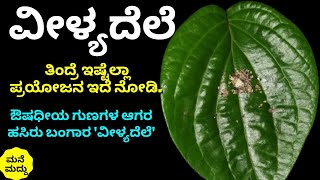 ಅಬ್ಬಬ್ಬಾ.. ವೀಳ್ಯದೆಲೆಯಿಂದ ಇಷ್ಟೊಂದು ಉಪಯೋಗ ಇದಿಯಾ? | Amazing Benefits Of Betel Leaves Nobody Told You