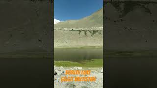 BORITH LAKE IN THE LAND OF LAKES GILGIT BALTISTAN : #borithlake #gilgitbaltistan #naturelovers #pak