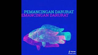 MANCING DARURAT #HARIMANCING