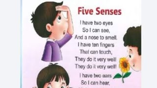 Five senses