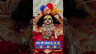 Jab Tut Jata Hoon#video #shortsfeed #babashyam #khatushyam #shorts #shortvideo #khatu #shyaam