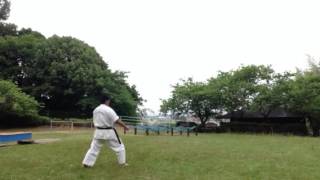 SOKUGI TAIKYOKU SONO NI - KATA KYOKUSHIN