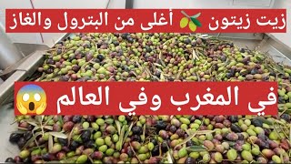 زيت زيتون 🫒 أغلى من البترول والغاز 😱 في المغرب والعالم 😱😱🇲🇦🇪🇸