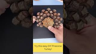 DIY Pinecone turkey fund and easy to make