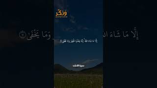 سورة الأعلى الآيات من 1 إلى 9 بصوت القارئ سعد الغامدي #حالات  #quran #قرآن  #shorts