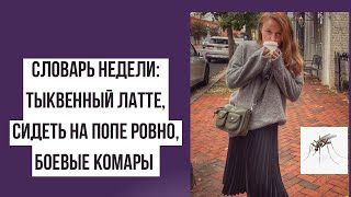 Словарь недели: тыквенный латте, сидеть на попе ровно, боевые комары!