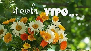 Доброе утро 💖🏵Пусть оно будет солнечным,счастливым и улыбчивым😊🌺