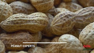 High specialization of Importaco in Almond, Peanut and Hazelnut