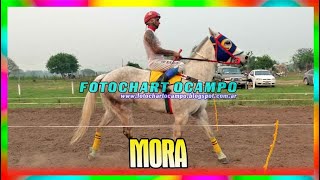 MORA   Capitan Solari   Chaco 22 09 2024