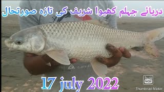 Jhelum River Fishing😱🐟دریاۓ جہلم کا زبردست شکار🐟Catch Fish & Release😱مراکھ مچھلی🐟 #fishing#river#