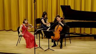 Brahms - Trio No. 3 in C Minor, Op. 101, III