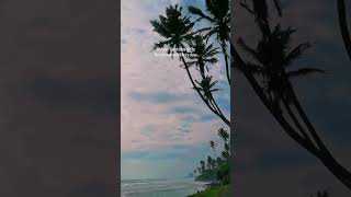 Madiha beach in Matara 🏖️❤️