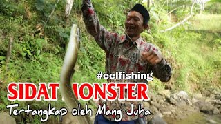 Keseruan Mancing ikan sidat Bersama KAKEK KAKEK Umur 80 TAHUN Hasil nya Di luar duga.an🔴