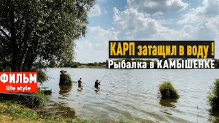 Карп затащил в воду! Рыбалка в Камышенке.