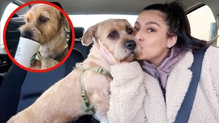 SPENT THE DAY WITH MY CRUSHES DOG | Vlog