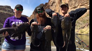 Epic Arizona Spring Fishing!