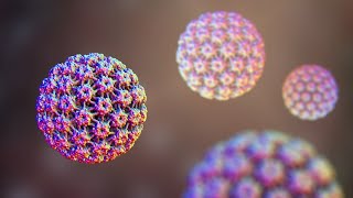 Understanding Human Papillomavirus HPV Infection