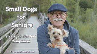 Best Small Dogs for Seniors: Finding the Perfect Companion