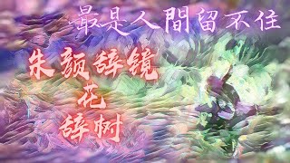 客串惡魔的天使 抑或客串天使的惡魔? 第2集 最是人間留不住，朱顏辭鏡花辭樹 ~~ 雙語劇場