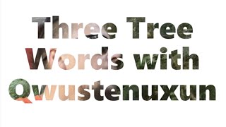 Three Hul'q'umi'num Tree Names