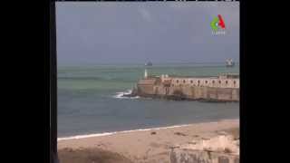 des algue phytoplancton couvre la baie d'alger