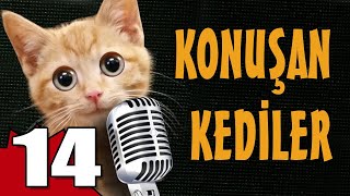 Konuşan Kediler 14 - En Komik Kedi Videoları