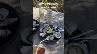 Best oysters Bruny Island !!!#eating #seafood #oysters #tasmania #foodie #food