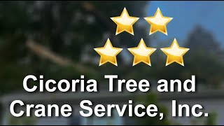 Cicoria Tree Service - Five Star Review for Tree Removal in Beverly