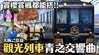 大阪⇄奈良觀光列車青之交響曲開箱🎵日本賞櫻名所吉野山秋季一日遊｜近鐵電車 日本關西 4K VLOG