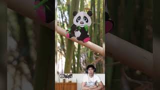 FunGuy86tv: con gấu trúc dễ thương #funguy86tv #shorts