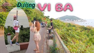 Chiều đi bộ con đường VIBA  và.. cái kết ... Gặp khỉ 🐒 đàn .