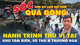 Khám Phá Hành Trình Thú Vị Tại Khu Tắm Biển, Sở Thú & Trường Đua Khu Du Lịch Đại Nam