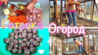 Готовлю несколько блюд🧆ОГОРОДНЫЕ ДЕЛА🧑‍🌾Экономное меню🍚