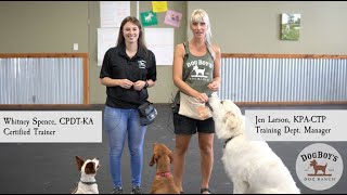 Dog Training Tips: Recall Games - Recall Races | Dog Behavior & Training