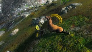 Easy Horns & Tusks Missions. Part 3 -The hunter classic