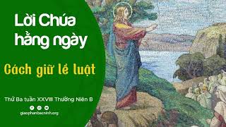 Cách giữ Lề Luật | Thứ Ba tuần XXVIII Thường Niên B | Lời Chúa hằng ngày