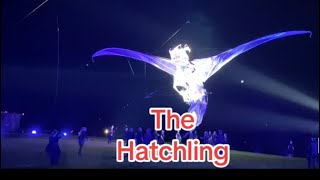 The Hatchling #throwback #vlog #plymouth #jakira #uk