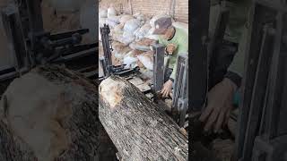 Pengungkitan kayu di proses penggergajian bandsaw